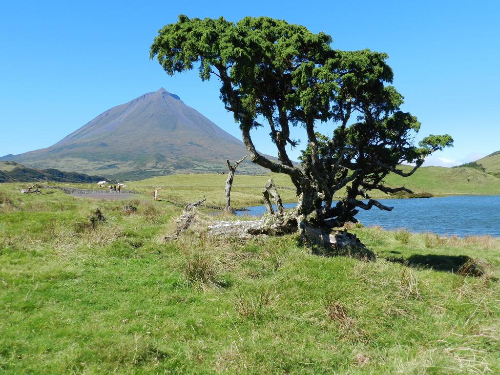 Calheta de Nesquim Adega Pedra Do Lagar 빌라 외부 사진